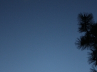 IMG 0002a (128)